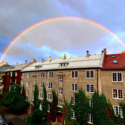 من تو کار بساز بفروشم شب رویا میسازم صبح به بی پولی میفروشم